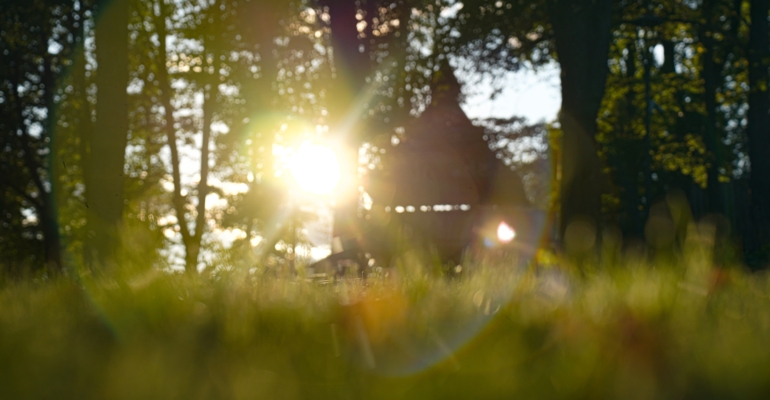 Праздники 3 ноября: гражданские, церковные, народные, именинники