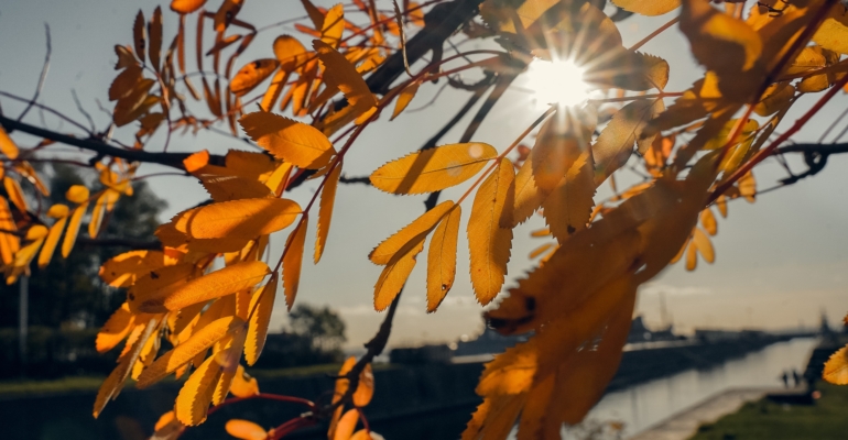 4 знака получат щедрые дары Вселенной 4 ноября 2025 — чудо трансформации