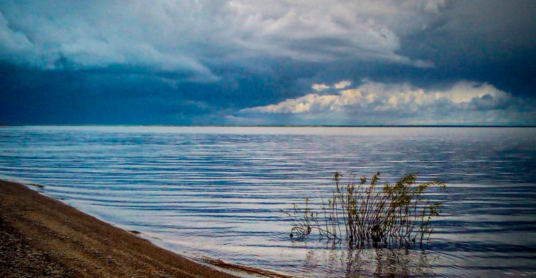 Ульяновская область приняла участие в создании новой композиции ко Дню народного единства проекта #МУЗЫКАВМЕСТЕ