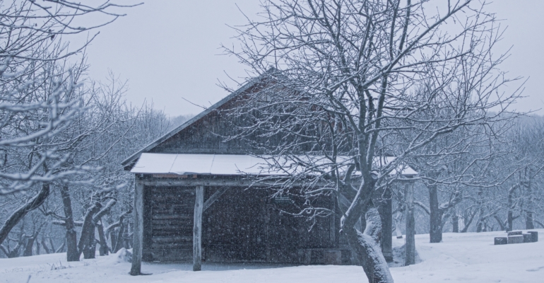 Названы три первых шага для тех, кто купил заброшенный участок
