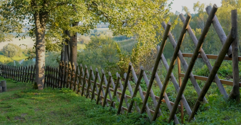Три дерева-врага и три дерева-друга возле вашего дома