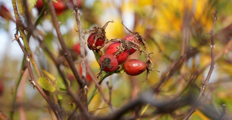 5 ноября 2025: 3 знака, для которых Луна в Тельце откроет сезон процветания