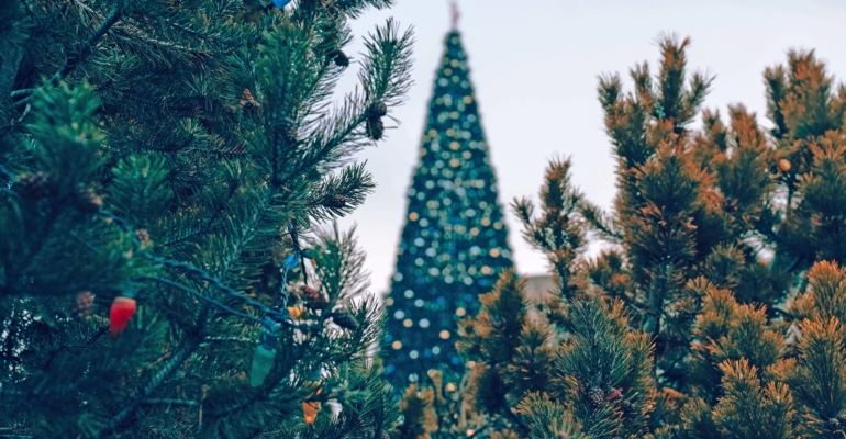 Секрет новогоднего сияния кожи: стратегия омоложения — успеть до боя курантов