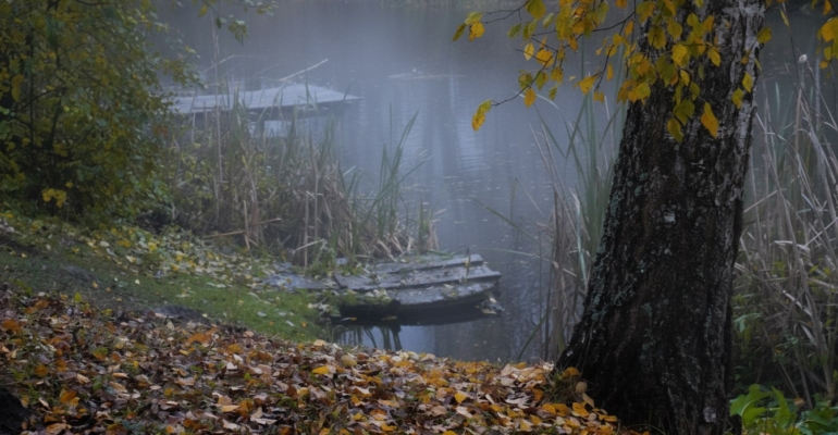 Три знака, для которых 6 Ноября 2025 станет началом эпохи Возрождения