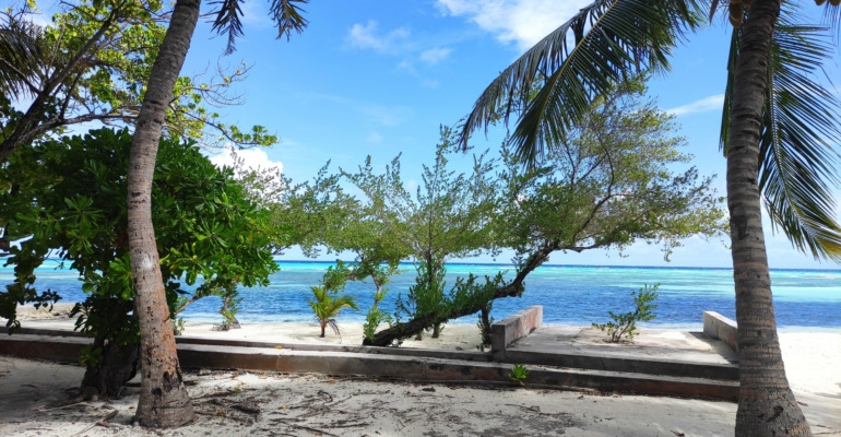 Теплый Новый год: 10 направлений для зимних мечтателей