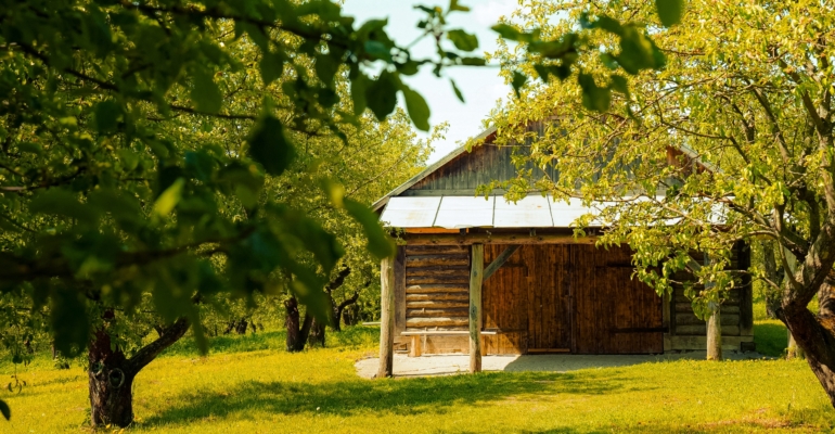 Осенний приговор проволочнику: стратегия изгнания до следующего сезона