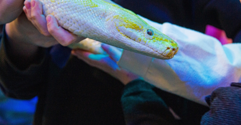 Гороскоп на ноябрь 2025: какие знаки ждет удача после 10 ноября