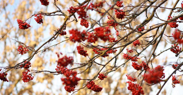 Шпаргалка погоды ноября: что надеть на неделе 10-16 числа в вашем регионе