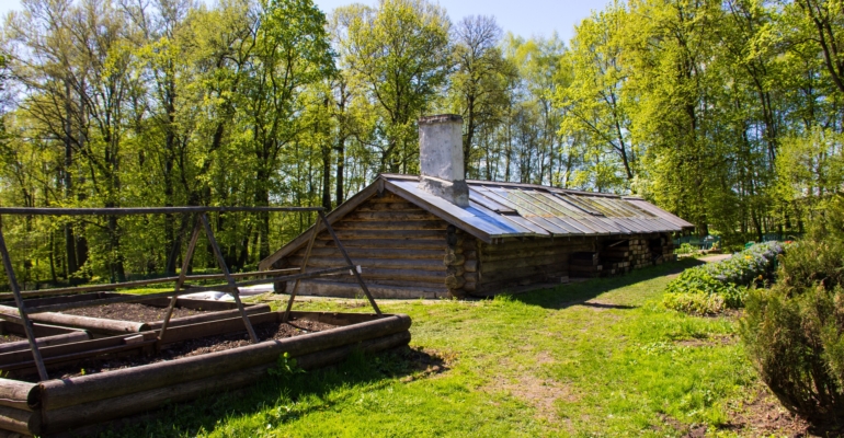 Три самоплодных сорта груш для богатого и сочного урожая