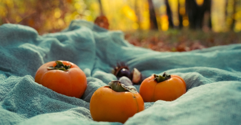 Осенняя алхимия: 3 простых шага к незабываемой домашней атмосфере