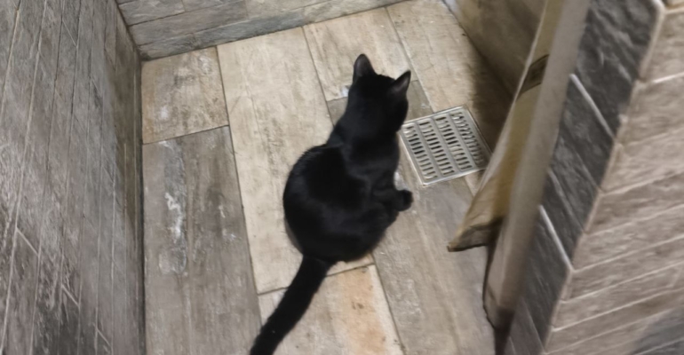 Материал для отделки, который способен удивить: гибкий, как ткань, роскошный, как мрамор