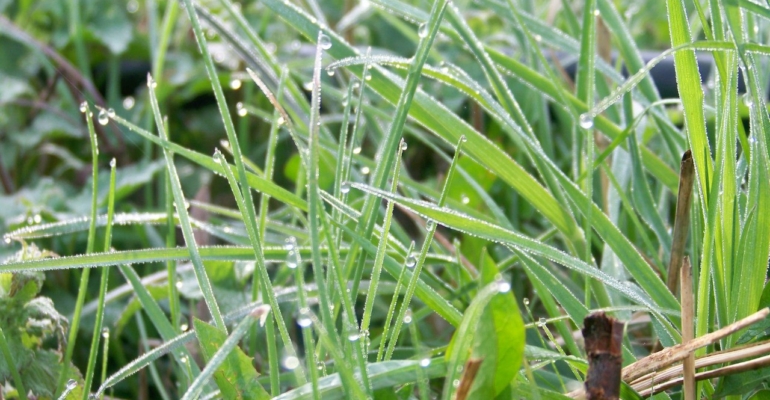 Как сделать оригинальный дорогой маникюр без единого кристалла: самый модный цвет сезона