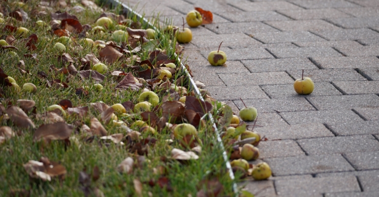 Народный праздник Осенние Кузьминки 14 ноября: дела и запреты, приметы, молитва