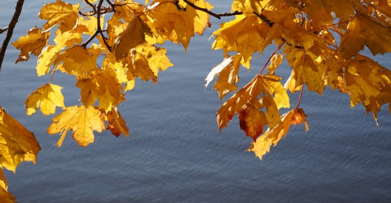 Народные погодные приметы 14 ноября от предков в Осенние Кузьминки