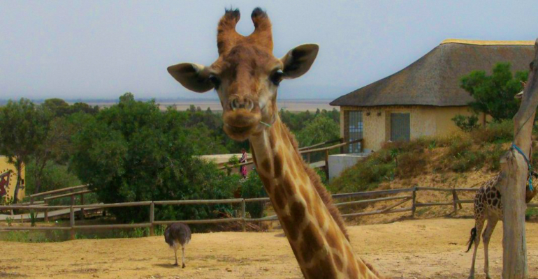 Все волшебные тайны Марракеша: что увидеть, чтобы влюбиться навсегда