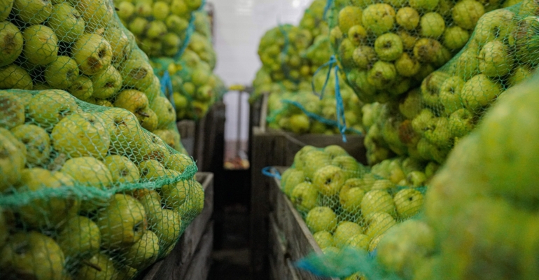 Рецепт оригинальной домашней сгущенки с яблоками и корицей