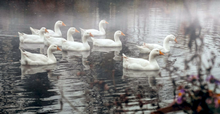 Готовьтесь к неожиданностям: Таро-прогноз с 17 по 23 ноября для вашего знака