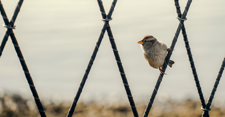 16 ноября — народные приметы о погоде, урожае, супружестве и не только