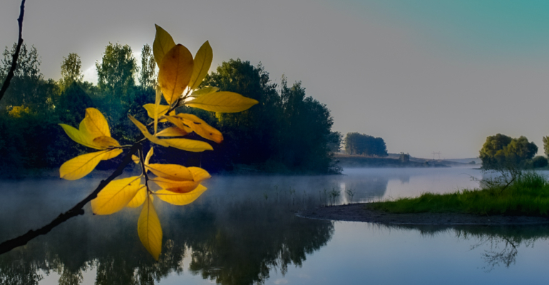 Лунный календарь 17 ноября 2025: последний день перед Новолунием — час на старт