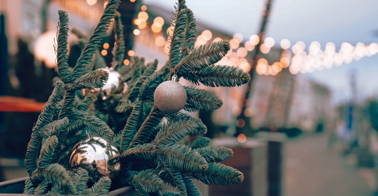 Как выбрать искусственную елку: советы от Роскачества