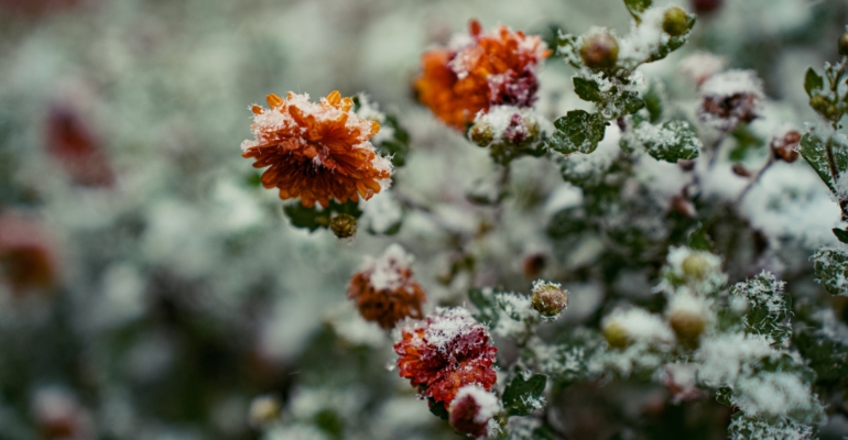 Почему осенние ароматы дольше держатся и как их правильно наносить