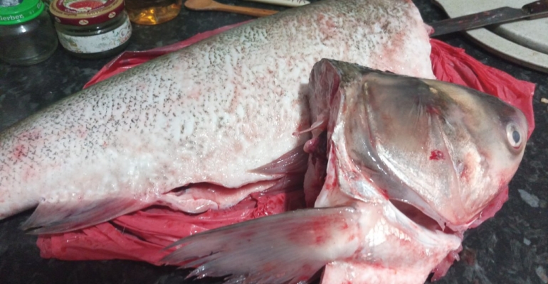 Рецепт рыбного пирога с рассыпчатым рисом и пышным тестом