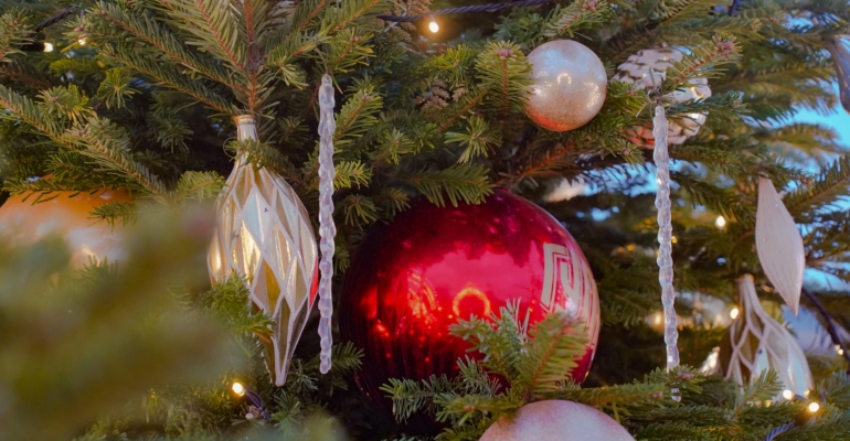 Стало известно, как украсить новогоднюю елку на 2026 год