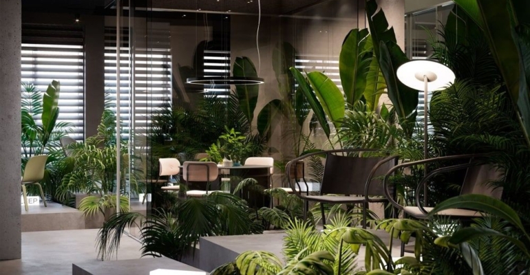 Полив, свет, температура: 3 фактора успешной зимовки комнатных растений