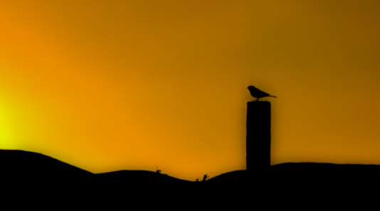 Новая находка в Египте 2025: что обнаружили под пирамидами в Гизе