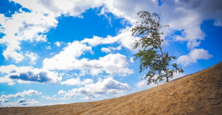 Аналитик Карнаухов: Санаторный отдых снова попал в тренды