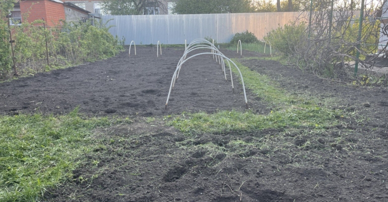 Подзимний посев в ноябре 2025: что сажать и как укрыть, чтобы не погибло