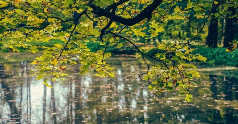 Астропрогноз на конец ноября 2025: какие знаки Зодиака ждет период исполнения желаний