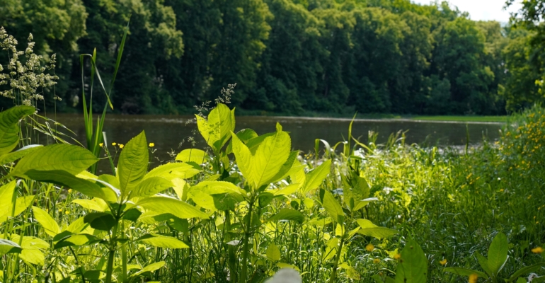 Журналист Коц осудил проект поворота сибирских рек