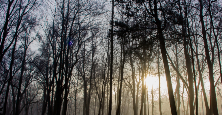 Лунный календарь 22 ноября 2025 года: шёпот Барса раскрывает магию дня