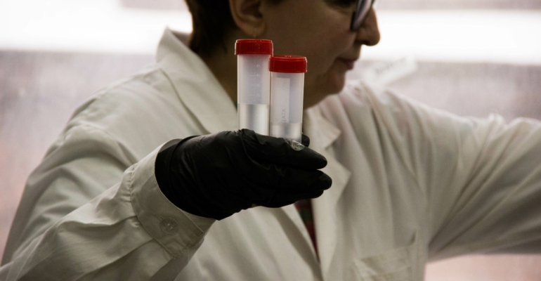 Учёные обнаружили в ДНК следы древней эпидемии, изменившей ход истории