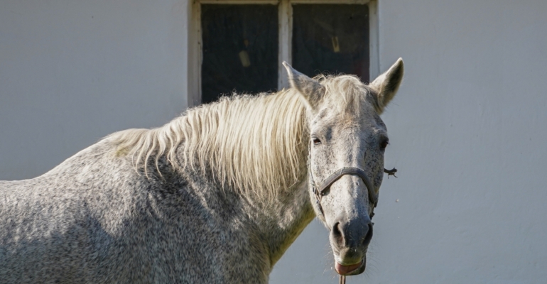 Лунный календарь 24 ноября 2025: 5-е лунные сутки в Стрельце в День Единорога