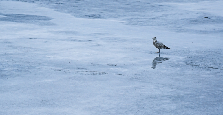 Разоблачаем секрет гололеда: почему средство для волос, сработает лучше шипов