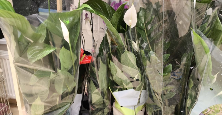 Зимние ритуалы для 