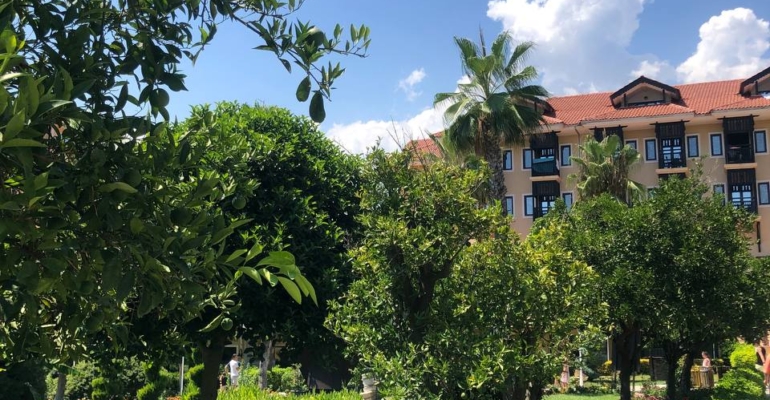 Санаторий, куда можно ехать всей семьей: детский бассейн, анимация процедуры и потрясающая природа