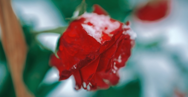 Шестой лунный день — не просто дата, а ловушка для удачи: вот как в нее попасть