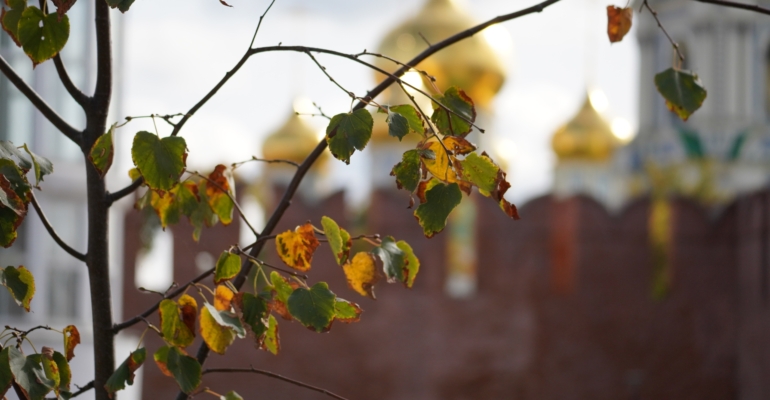 Праздники 28 ноября гражданские, церковные, именинники и не только