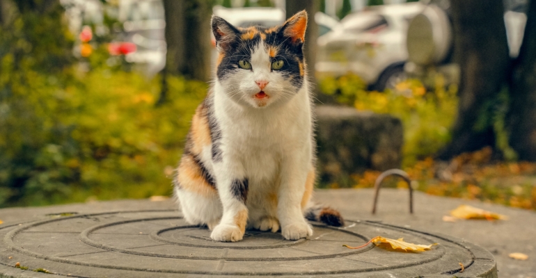 Астрологический прогноз на 28 ноября для всех знаков зодиака