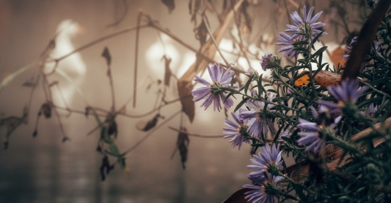 Таро-прогноз на 28 ноября: карты дня для каждого знака зодиака