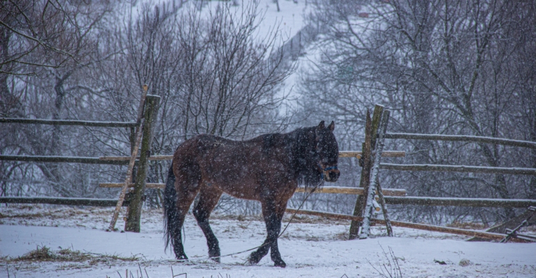Зимняя тройка: как оседлать зимние месяцы — гороскоп для всех на время перемен