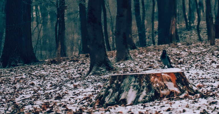 Народные приметы на 1 декабря: почему нельзя жаловаться на судьбу