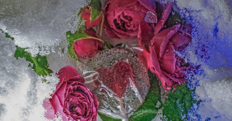 Гороскоп любви на зиму 2025/26: Чёрная Луна проложит ваш маршрут страстей