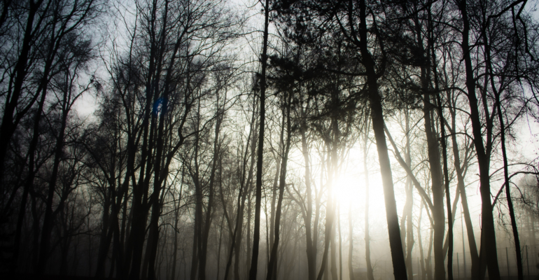 Лунный календарь 2 декабря 2025: день внутреннего компаса и правильных решений