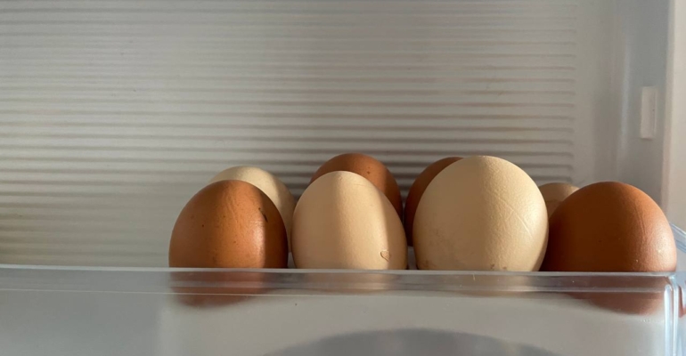 5 секретов идеального омлета: от молока до щепотки соды