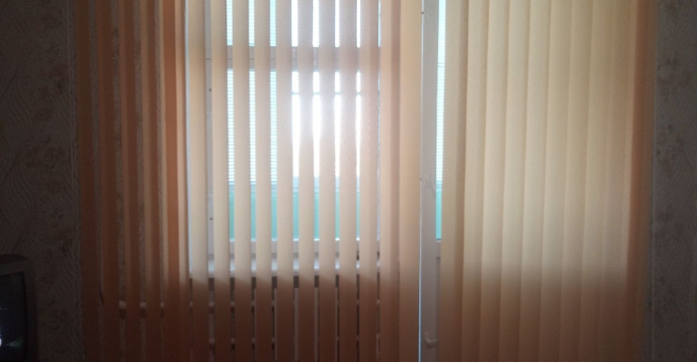 Гращенков: Дело Долиной доказало неэффективность судов