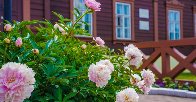 Ароматы-стимуляторы и ароматы-успокоители: как разделить их по зонам